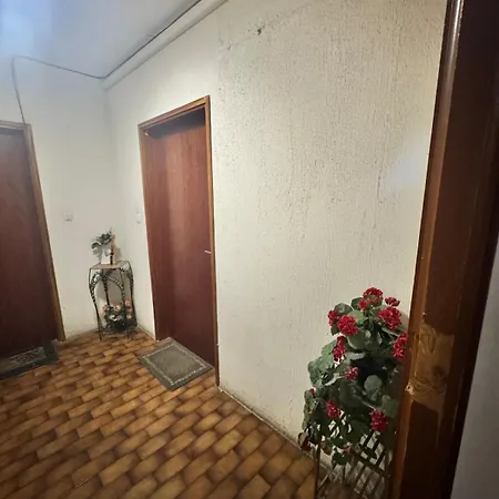 아파트 Nouveau ! Sublime T2 아작시오